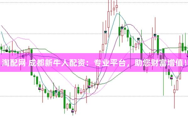 淘配网 成都新牛人配资：专业平台，助您财富增值！