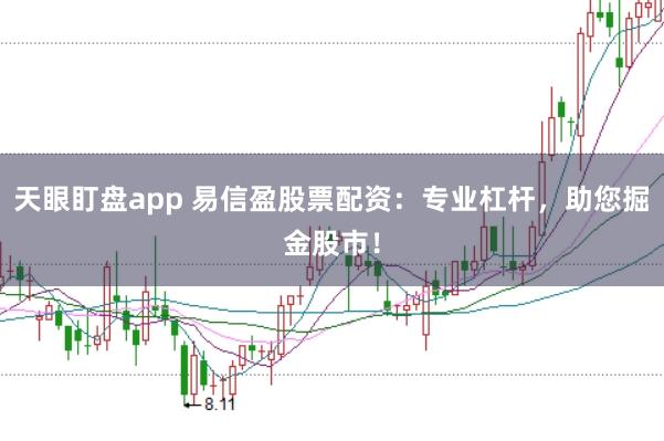 天眼盯盘app 易信盈股票配资：专业杠杆，助您掘金股市！