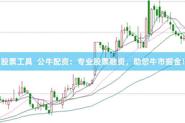 股票工具 公牛配资:专业股票融资,助您牛市掘金!